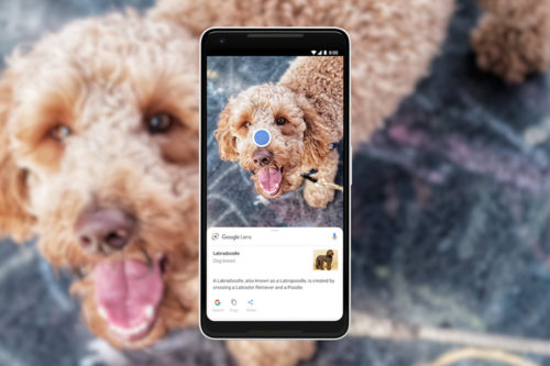 Google Lens … ميزة البحث البصري من جوجل على هاتفك