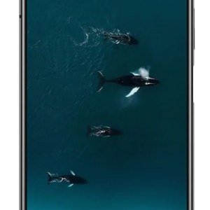 Honor V30 | أونور في 30