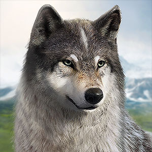 تحميل لعبة Wolf Game: Wild Animal Wars لعيش المغامرات مع الذئاب المفترسة
